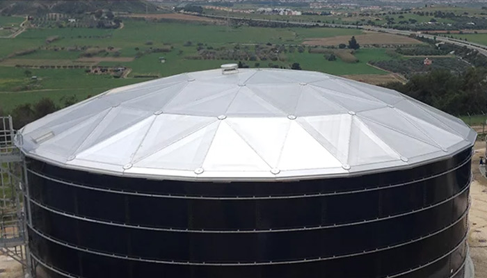 Geodesic Dome Roof